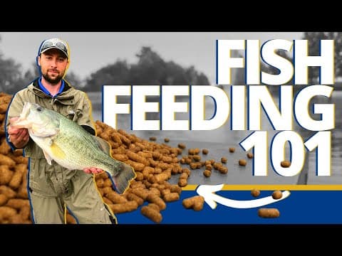 Everything To Know About Feeding Fish In Your Pond - Pond &amp; Lake Management Tutorial