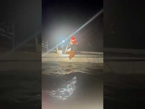 KINGFISH CATCH AT NIGHT