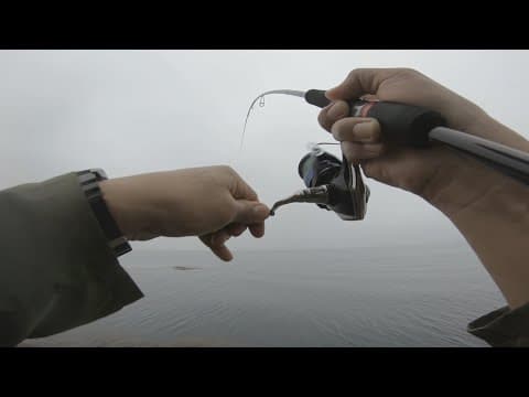 Light Shore Fishing Diaries: Jigging and Spinning in Hong Kong