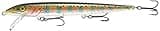 Rapala Original Floater 11 Fishing lure (Rainbow Trout, Size- 11)