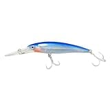 Boat Fishing Lure Deep Sea Bait Minnow Saltwater Large Bait for Big Fish Deep Sea Bluefin Tuna Spanish Mackerel (Color C)