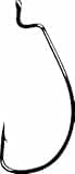 Gamakatsu 25 Pack EWG Offset Worm Hook(Black, 4)