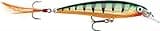 Rapala X-Rap Jerkbait 10 Fishing lure (Perch, Size- 4)