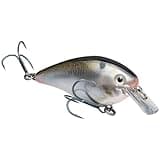 Strike King KVD 1.5 Square Bill Crankbait, Natural Shad