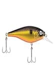 Berkley Flicker Shad Shallow Fishing Lure, Fool’s Gold, 2/7 oz, 2 3/4in | 7cm Crankbaits, Size, Profile and Dive Depth Imitates Real Shad, Equipped with Fusion19 Hook