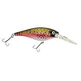 Berkley Flicker Shad Fishing Lure, Rainbow Trout, 5/16 oz, 2 3/4in | 7cm Crankbaits, Size, Profile and Dive Depth Imitates Real Shad, Equipped with Fusion19 Hook