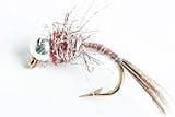 Blue Wing Olive Tungsten BH Rainbow Warrior Nymph Fly, 6-Pack (#12)