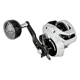 Shimano TRANX 300 B Low Profile Reels (TRX300HGB) Fishing