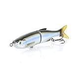 Savage Gear 3D Glide Swimmer Fishing Bait, 1 3/4 oz, Hitch, Realistic Contours, Colors & Movement, Durable Construction, Slow-Sinking, Premium Dual Treble Hooks and Rigging