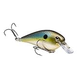 Strike King KVD Square Bill 1.0,Summer Sexy Shad