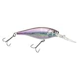 Berkley Flicker Shad Fishing Lure, HD Smelt, 5/16 oz, 2 3/4in | 7cm Crankbaits, Size, Profile and Dive Depth Imitates Real Shad, Equipped with Fusion19 Hook