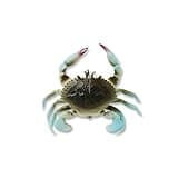Savage Gear Duratech Crab Fishing Bait, 1/4 oz, Blue Crab, Realistic Contours, Colors & Movement, Durable Construction, Ultra-Sharp 3X Carbon Steel Fishing Hook, Scent Infused