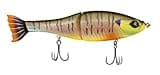 Googan Squad Rival 2-Jointed Body, Realistic, Premium Glidebait