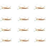 Generic Chubby Chernobyl Ant Hopper Fly for Fly Fishing Hopper Dropper Flies, 10, Brown White