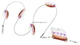Panther Martin MDR_28_BTH High Lake Rudder Troll Fish Attractor, Brown Trout Holo