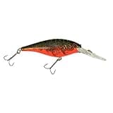 Berkley Flicker Shad Fishing Lure, Red Tiger, 1/4 oz, 2 1/4in | 6cm Crankbaits, Size, Profile and Dive Depth Imitates Real Shad, Equipped with Fusion19 Hook