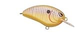 Spro Little John Crank Bait-Pack of 1, Sunny Bream