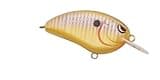 Spro Little John Crank Bait-Pack of 1, Sunny Bream