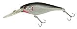 Berkley Flicker Shad Fishing Lure, Black Silver, 5/16 oz, 2 3/4in | 7cm Crankbaits, Size, Profile and Dive Depth Imitates Real Shad, Equipped with Fusion19 Hook