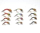 12 Rainbow Warrior Atrractor Fly Fishing Nymphs & Wet Flies Assortment for Trout Fishing Flies