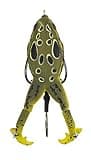 LUNKERHUNT Frog Fishing Lure for Bass Fishing | Realistic Frog Lure with Prop Action (Cane) | Best Topwater Lure Trout and Pike, Fish Bait with Hollow Body, Weedless Hooks