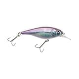 Berkley Flicker Shad Shallow Fishing Lure, HD Smelt, 2/7 oz, 2 3/4in | 7cm Crankbaits, Size, Profile and Dive Depth Imitates Real Shad, Equipped with Fusion19 Hook