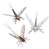 Synthfly Lifelike Mayfly Pack of 8 Mayflies for Fly Fishing (Gray & Brown Drake in Sizes 10, 12, 14 and Danica in Sizes 10, 12)