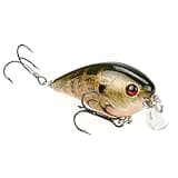 Strike King KVD Shallow Square Bill 1.5 / Natural Bream