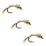 Fly Fishing Flies from Colorado Fly Supply - Tungsten Rainbow Warrior Bead Head Fly - 3 Pack of Flies - Trout Flies and Lures - Wet Flies and Bead Head Nymphs - Hook Size 16