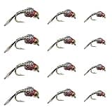 Feeder Creek Fly Fishing Trout Flies Tungsten Rainbow Warrior Midge - One Dozen Wet Flies - 3 Size Assortment 16,18, 20 (4 of Each Size)