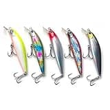 Minnow Fishing Lures crankbaits Set,Hard baits with Vibrant Colors for Trout, bass, Perch - Ideal for Stream and Lake Fishing， 5 Pieces (LS05-12)
