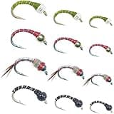 The Fly Fishing Place Bead Head Rainbow Warrior and Zebra Midge Assortment - 1 Dozen - 3 Each of 4 Patterns Sizes 14, 16, 18 - Tailwater Fly Fishing Flies Collection