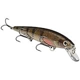 Strike King KVD Jerkbait 3 Hook,Yellow Perch, 0.05