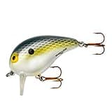 Bomber Lures Shallow A Finesse Wake-Bait Fishing Lure, Fishing Gear and Accessories, 2", 3/8 oz, Foxy Shad