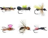 Ant Fly Fishing Flies kit - Collection of 6 Flies - Ant Dry Flies