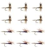 12 Top Produce Adams and Purple Haze Parachute Trout Fly Fishing Assortment | Dry Flies