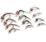 12 Effective Bead Head Nymph Rainbow Warrior Atrractor | Trout Flies Wet Fly Fishing Lure | River, Stream or Lake.