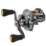 Piscifun Alijoz Baitcasting Reels Low Profile Baitcaster Aluminum Frame Baitcast Fishing Reel, Size 300, 33lb Drag 8.1:1 Gear Ratio Freshwater Saltwater Double Handle Casting Reels (Right Handed)