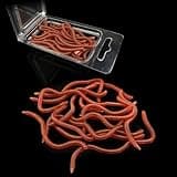 OriGlam 20pcs Bass Fishing Worms - Soft Plastic Baits & Lures for Fresh Water Fishing