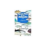 Intermedia Outdoors Sport Fish of The Atlantic Book