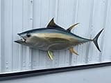 48" Yellowfin Tuna Full Mount Fish Replica - Two Sided Wall Mount - Use Indoors Or Outside