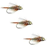 Fly Fishing Flies by Colorado Fly Supply - Rainbow Prince Nymph - Bead Head Prince Nymph Variation - Premium Fly Fishing Flies and Lures for Trout - Fishing Tackle and Gear - 3 Pack of Flies