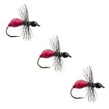 Fly Fishing Flies by Colorado Fly Supply - Epoxy Ant Fly Pattern - Ant Terrestrial Fly Fishing Lure - Hard Body Ant - Trout Flies and Lures for Fishermen - Fishing Tackle - 3 Pack of Trout Flies