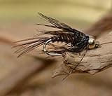 Region Fishing Pheasant Tail Nymph Fly - Soft Hackle Tied on Mustad Signature Fly Hooks - 1 Doz (Assorted)