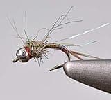 Region Fishing Tungsten Bead Rainbow Warrior Midge Nymph Fly - 1 Doz Flies on Mustad Signature Hooks (Hook #20)