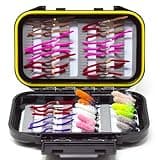Outdoor Planet 36 Mop Jig Tungsten Bead Flies and San Juan Worm Power Bead Trout Fly Assortment with Waterproof Fly Box for Wet Nymph Fly Fishing Flies, Size 10-14