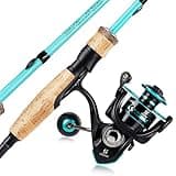 Sougayilang Fishing Rod and Reel Combo, Stainless Steel Guides Fishing Pole with Spinning Reel Combo for Saltwater and Freshwater-Turquoise-5.9ft & 3000