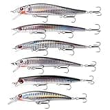 OROOTL Saltwater Fishing Lures Kit, 6 Packs Assorted Surf Fishing Jerkbait Topwater Minnow Lures Hard Baits Popper Plugs for Striped Bass Offshore Ocen Gear Tackle