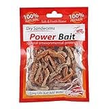 Awakingdemi Dry Sandworms Fishing Lure Saltwater Feeder Worms Sea Fish Smell Soft Baits