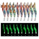 Squid Jig Hook Hard Fishing Lures - 10Pcs Luminous Saltwater Fishing Artificial Shrimp Glow in The Dark Bionic Bait Kit for Fishing Cuttlefish Squid (2.5#)